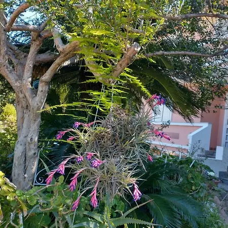 Prama 'e Mari Πανσιόν 3*